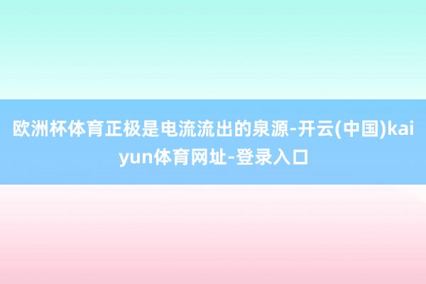 欧洲杯体育正极是电流流出的泉源-开云(中国)kaiyun体育网址-登录入口